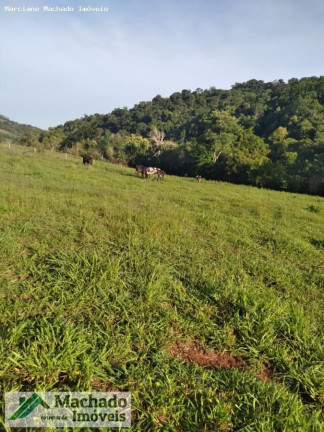 Imagem Terreno à Venda, 48 m² em Rural - Erval Seco Imagem Terreno à Venda, 48 m² em Rural - Erval Seco