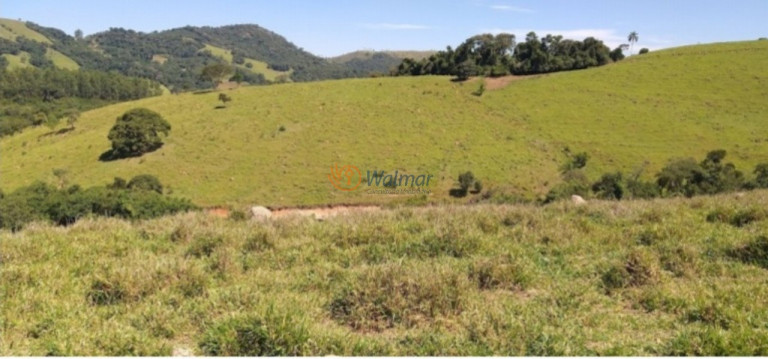 Imagem Imóvel com 3 Quartos à Venda, 320 m² em Centro - Monte Sião Imagem Imóvel com 3 Quartos à Venda, 320 m² em Centro - Monte Sião