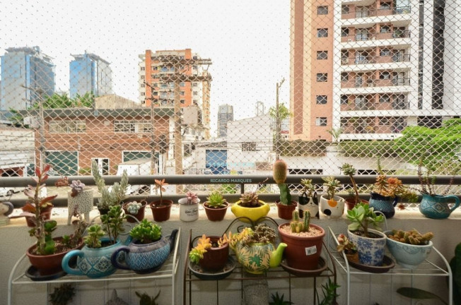 Imagem Apartamento com 2 Quartos à Venda, 54 m² em Chácara Santo Antônio (zona Sul) - São Paulo Imagem Apartamento com 2 Quartos à Venda, 54 m² em Chácara Santo Antônio (zona Sul) - São Paulo