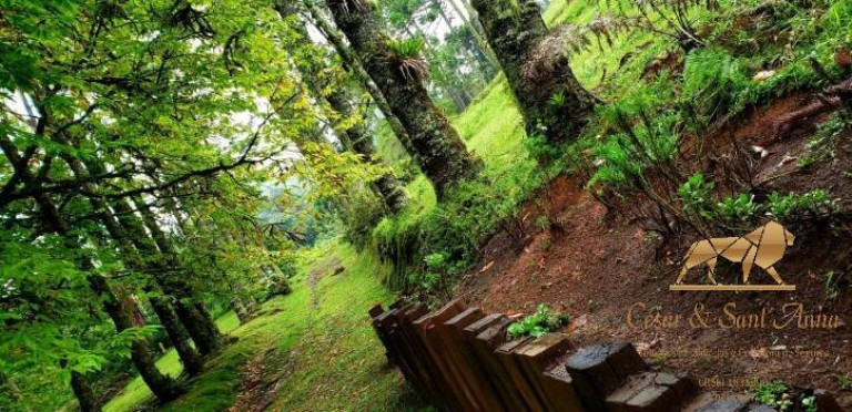Imagem Terreno à Venda, 1.300 m² em Campos Do Jordão - Campos Do Jordão
