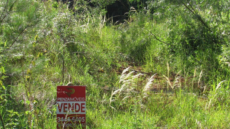 Imagem Terreno à Venda, 452 m² em Jardim - Concórdia Imagem Terreno à Venda, 452 m² em Jardim - Concórdia