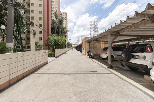 Imagem Apartamento com 3 Quartos à Venda, 65 m² em Vila Alpina - São Paulo