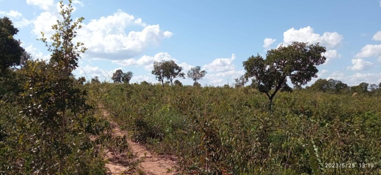 Imagem Chácara com 2 Quartos à Venda, 15 m² em água Fria - Chapada Dos Guimarães Imagem Chácara com 2 Quartos à Venda, 15 m² em água Fria - Chapada Dos Guimarães