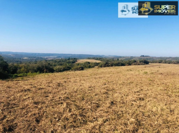 Imagem Imóvel com 1 Quarto à Venda, 2.880.000 m² em Centro - Herval