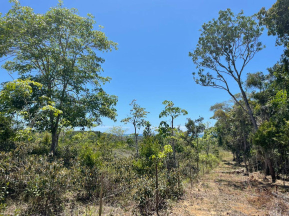 Imagem Terreno à Venda, 1.000 m² em Algodões - Marau Imagem Terreno à Venda, 1.000 m² em Algodões - Marau