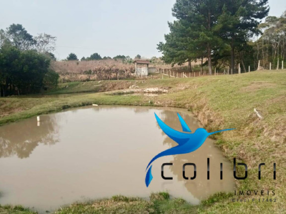 Imagem Chácara com 3 Quartos à Venda, 26.105 m² em Ximbuva - Agudos Do Sul