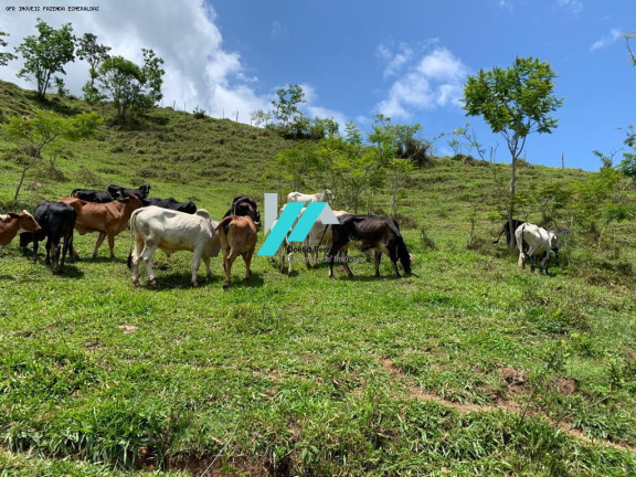 Imagem Fazenda à Venda, 30 m² em Azurita - Mateus Leme Imagem Fazenda à Venda, 30 m² em Azurita - Mateus Leme
