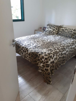 Imagem Apartamento com 3 Quartos à Venda, 79 m² em Morumbi - São Paulo