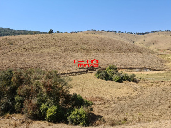 Imagem Imóvel com 2 Quartos à Venda, em Zona Rural De Pouso Alto - Mg - Pouso Alto Imagem Imóvel com 2 Quartos à Venda, em Zona Rural De Pouso Alto - Mg - Pouso Alto