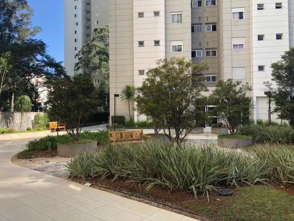 Imagem Imóvel com 3 Quartos à Venda, 69 m² em Morumbi - São Paulo Imagem Imóvel com 3 Quartos à Venda, 69 m² em Morumbi - São Paulo
