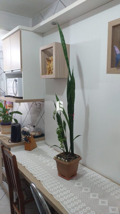 Imagem Apartamento com 3 Quartos à Venda,  em Pinheiro Machado - Santa Maria