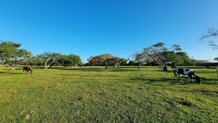 Imagem Imóvel com 2 Quartos à Venda, 130.000 m² em Dunas Do Peró - Armação Dos Búzios