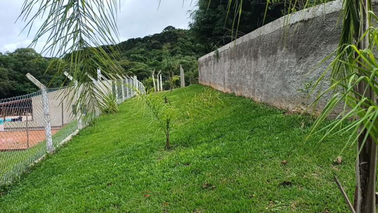 Imagem Fazenda à Venda, em Centro - Contenda Imagem Fazenda à Venda, em Centro - Contenda