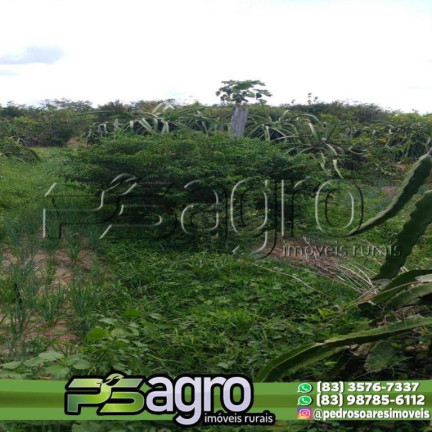 Imagem Fazenda à Venda, 45.000.000 m² em Alto Do Pinho - São Luís Imagem Fazenda à Venda, 45.000.000 m² em Alto Do Pinho - São Luís
