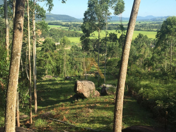 Imagem Fazenda à Venda, 15 m² em Laranjal - Imaruí Imagem Fazenda à Venda, 15 m² em Laranjal - Imaruí