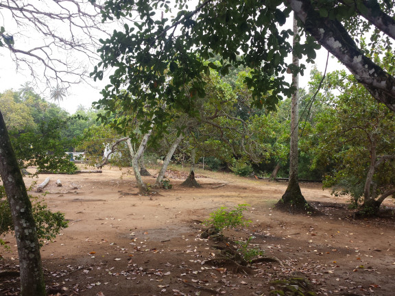 Imagem Terreno à Venda, 100.000 m² em Areia Branca - Lauro De Freitas Imagem Terreno à Venda, 100.000 m² em Areia Branca - Lauro De Freitas