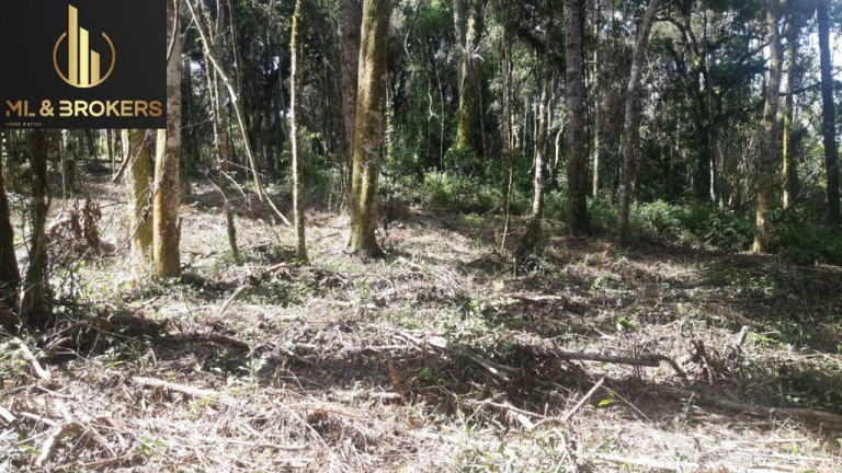 Imagem Imóvel à Venda, 20.000 m² em Quitandinha - Quitandinha Imagem Imóvel à Venda, 20.000 m² em Quitandinha - Quitandinha