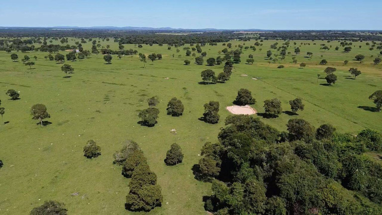 Imagem Fazenda à Venda, 242 m² em Zona Rural - Araguapaz Imagem Fazenda à Venda, 242 m² em Zona Rural - Araguapaz