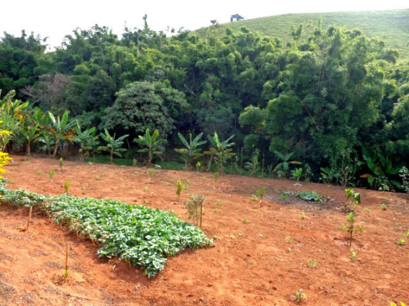Imagem Terreno à Venda, 20 m² em Centro - São Luiz Do Paraitinga Imagem Terreno à Venda, 20 m² em Centro - São Luiz Do Paraitinga