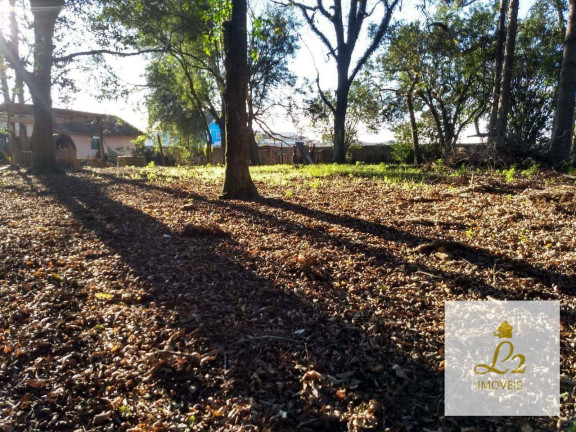 Imagem Terreno à Venda, 4.360 m² em Sítio Cercado - Curitiba