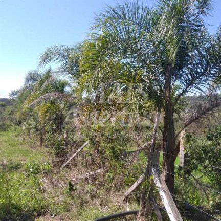 Imagem Terreno à Venda, em Santa Cruz Da Concórdia - Taquara Imagem Terreno à Venda, em Santa Cruz Da Concórdia - Taquara