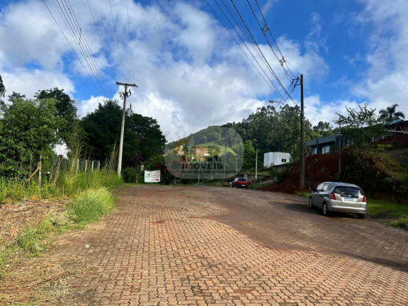 Imagem Terreno à Venda, 450 m² em Piá - Nova Petrópolis Imagem Terreno à Venda, 450 m² em Piá - Nova Petrópolis