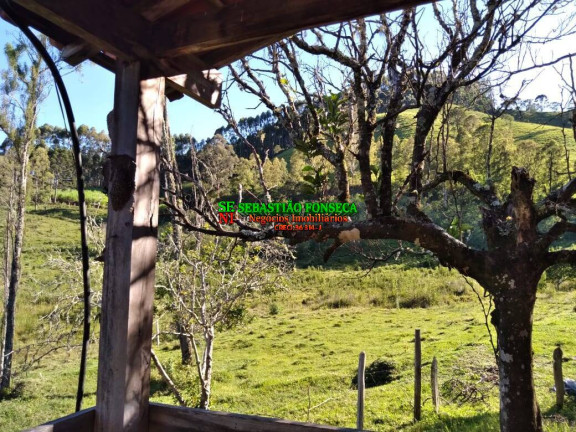Imagem Chácara com 2 Quartos à Venda, 25.000 m² em Sob Consulta - Virgínia Imagem Chácara com 2 Quartos à Venda, 25.000 m² em Sob Consulta - Virgínia