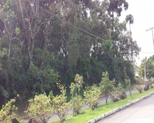 Terreno à Venda, 429 m² em Vale Verde - Nova Petrópolis