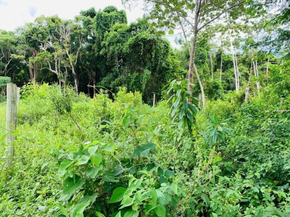 Imagem Terreno à Venda, 547 m² em Encantada - Garopaba Imagem Terreno à Venda, 547 m² em Encantada - Garopaba