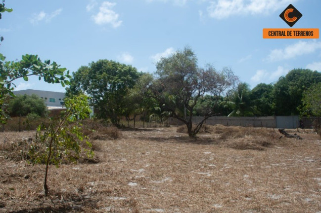 Imagem Terreno à Venda, 1.400 m² em Monte Gordo - Camaçari Imagem Terreno à Venda, 1.400 m² em Monte Gordo - Camaçari