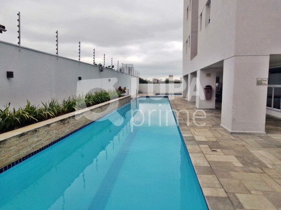 Imagem Apartamento com 3 Quartos à Venda, 115 m² em Vila Maria Alta - São Paulo Imagem Apartamento com 3 Quartos à Venda, 115 m² em Vila Maria Alta - São Paulo