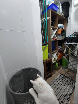 Imagem Apartamento com 3 Quartos à Venda, 110 m² em Recreio Dos Bandeirantes - Rio De Janeiro
