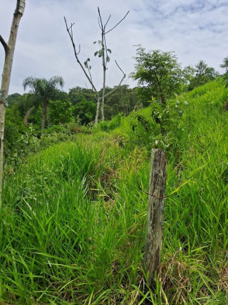 Imagem Terreno à Venda, 100 m² em Bandeira Branca - Jacareí