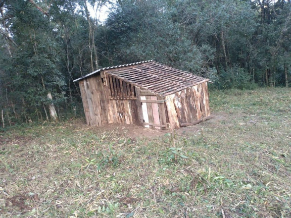 Imagem Imóvel com 4 Quartos à Venda, 24.200 m² em água Azul - Lapa