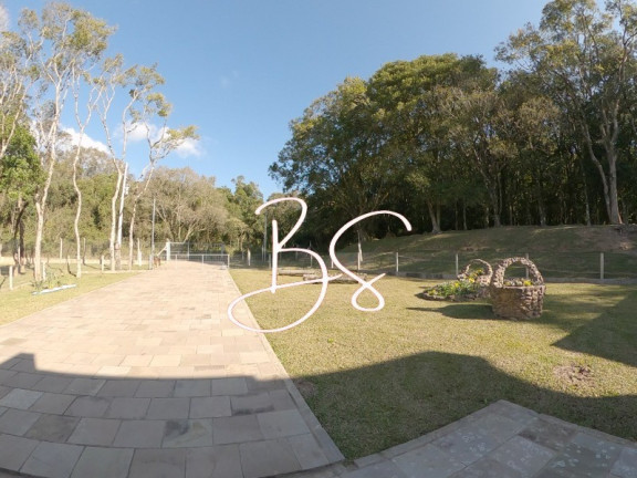 Imagem Imóvel com 2 Quartos à Venda, 20.000 m² em Galópolis - Nova Petrópolis