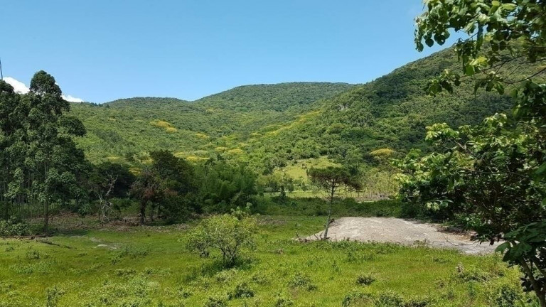 Imagem Fazenda à Venda, 80 m² em São João Do Rio Vermelho - Florianópolis Imagem Fazenda à Venda, 80 m² em São João Do Rio Vermelho - Florianópolis