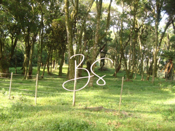 Imagem Terreno à Venda, 50.000 m² em Linha Bonita - Gramado Imagem Terreno à Venda, 50.000 m² em Linha Bonita - Gramado
