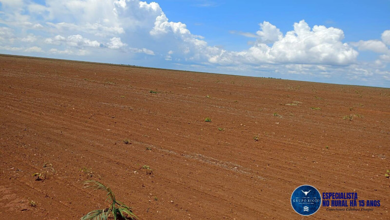Fazenda à Venda, 2 m² em Zona Rural - Caxias