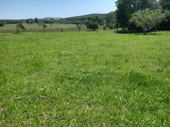 Imagem Chácara com 3 Quartos à Venda, 310 m² em Zona Distribuidora - Sarapuí Imagem Chácara com 3 Quartos à Venda, 310 m² em Zona Distribuidora - Sarapuí