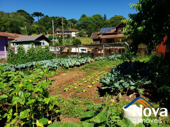 Imagem Imóvel à Venda, 450 m² em Juriti - Nova Petrópolis