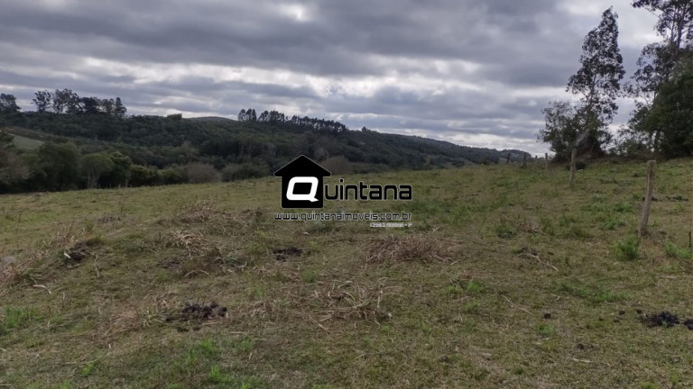 Imagem Imóvel com 4 Quartos à Venda, 80.000 m² em Colônia Santa Maria - Pelotas