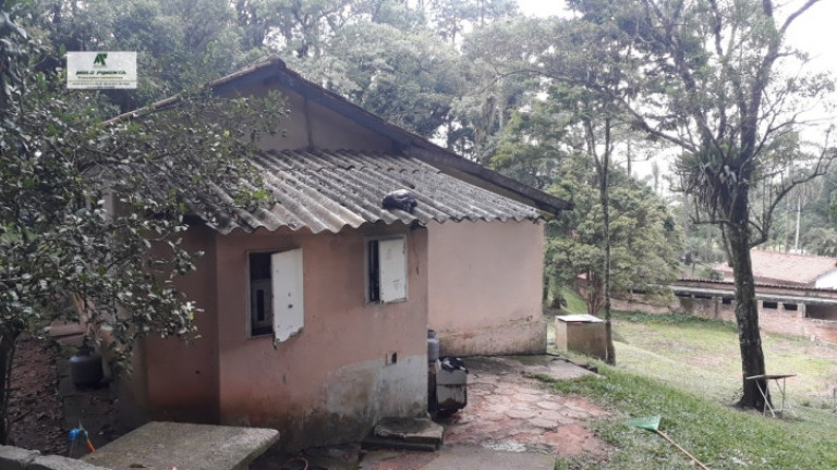 Imagem Chácara com 2 Quartos à Venda, 6.500 m² em Alto Da Serra - São Roque Imagem Chácara com 2 Quartos à Venda, 6.500 m² em Alto Da Serra - São Roque