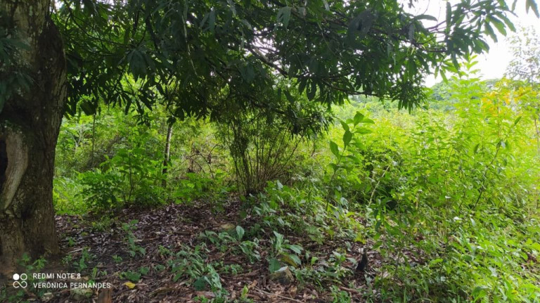 Imagem Terreno à Venda, 5.000 m² em Aldeia Dos Camarás - Camaragibe Imagem Terreno à Venda, 5.000 m² em Aldeia Dos Camarás - Camaragibe