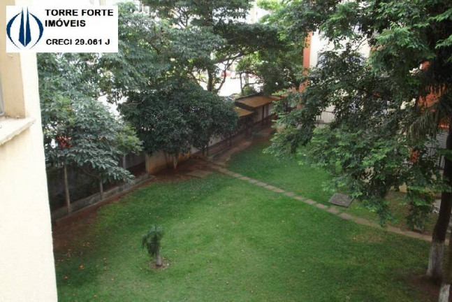 Imagem Apartamento com 3 Quartos à Venda, 65 m² em Sítio Pinheirinho - São Paulo Imagem Apartamento com 3 Quartos à Venda, 65 m² em Sítio Pinheirinho - São Paulo