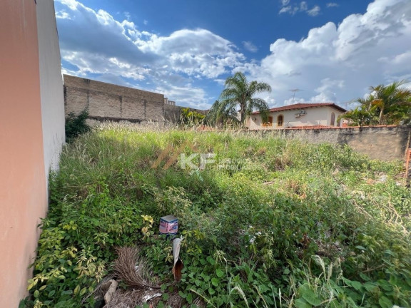 Imagem Terreno à Venda, 300 m² em Jardim São Luiz - Ribeirão Preto Imagem Terreno à Venda, 300 m² em Jardim São Luiz - Ribeirão Preto