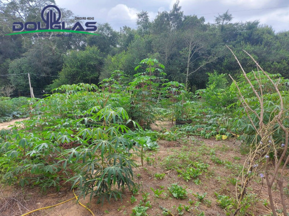 Imagem Casa à Venda, 530 m² em Viamão Imagem Casa à Venda, 530 m² em Viamão