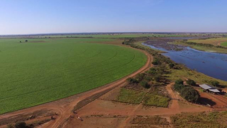 Imagem Fazenda à Venda, 3.000 m² em Zona Rural - Jussara Imagem Fazenda à Venda, 3.000 m² em Zona Rural - Jussara