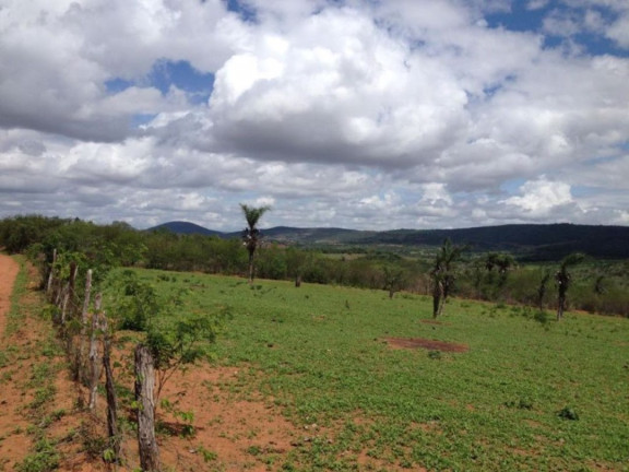 Imagem Fazenda à Venda, 200 m² em Br 116 - Euclides Da Cunha Imagem Fazenda à Venda, 200 m² em Br 116 - Euclides Da Cunha