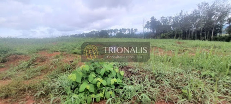 Imagem Terreno à Venda, 1.004 m² em Condomínio Estância Parque Atibaia Ii - Atibaia