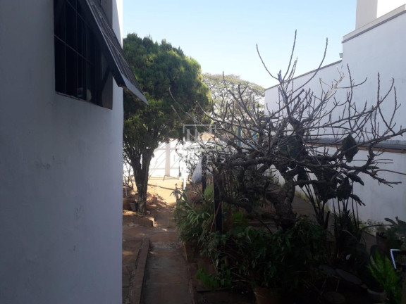 Imagem Casa com 4 Quartos à Venda, 262 m² em Centro - São Carlos